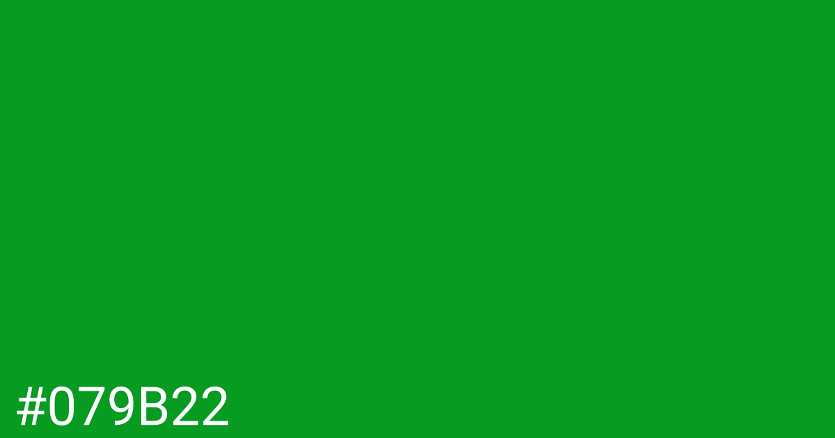 Hex color #079b22 graphic