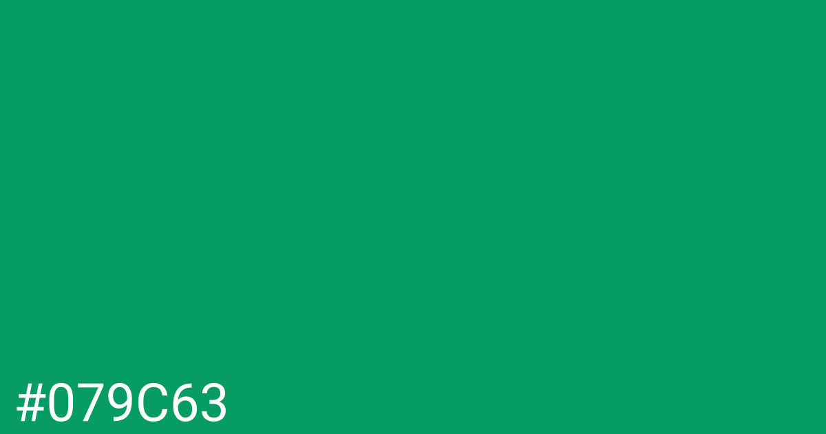 Hex color #079c63 graphic