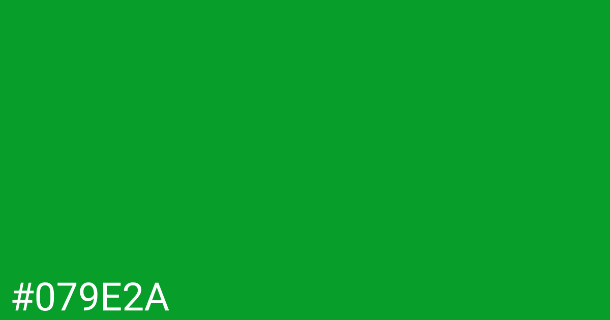 Hex color #079e2a graphic