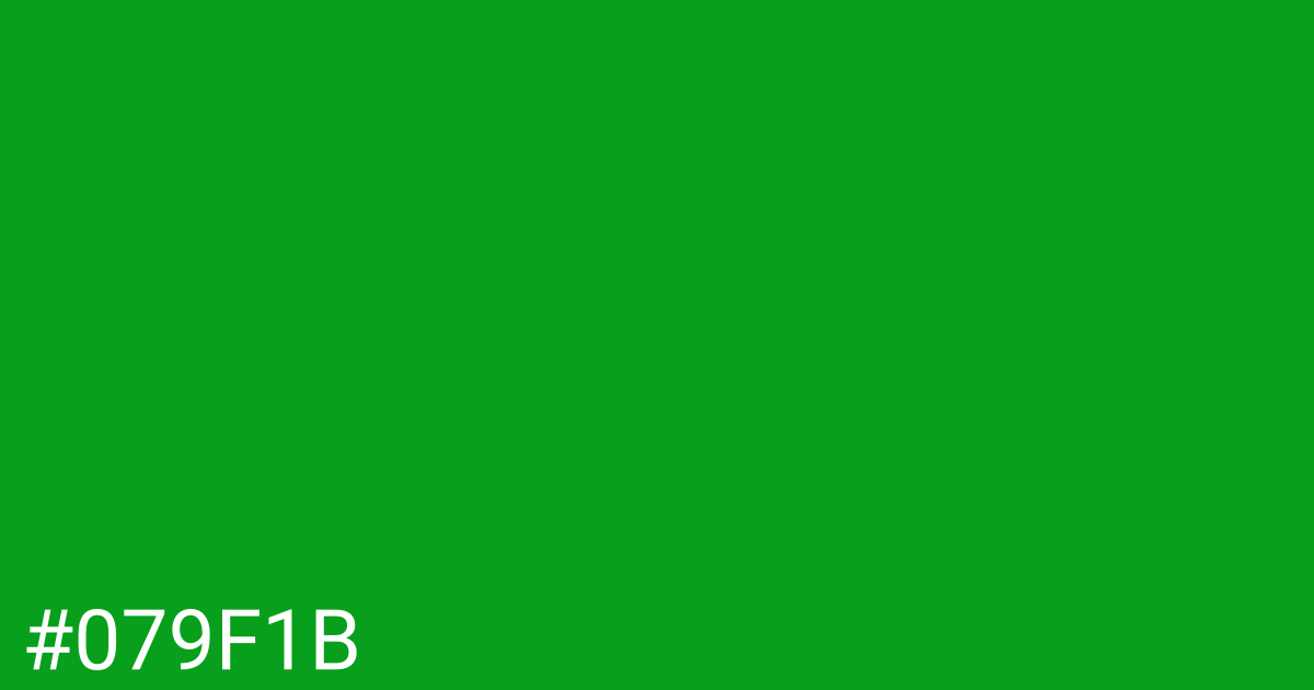 Hex color #079f1b graphic