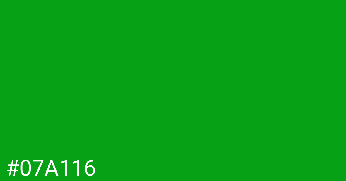 Hex color #07a116 graphic