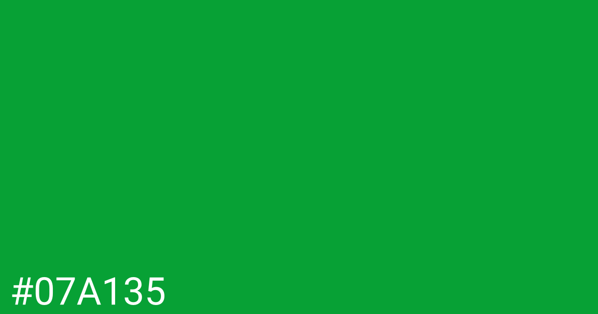 Hex color #07a135 graphic