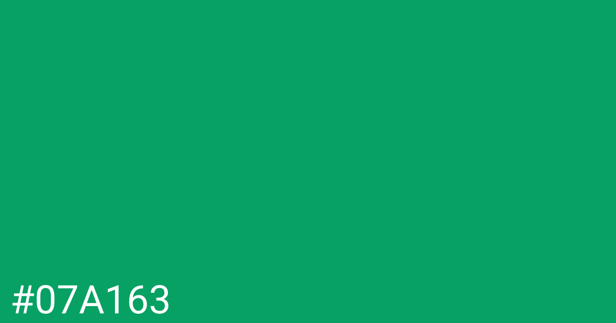 Hex color #07a163 graphic