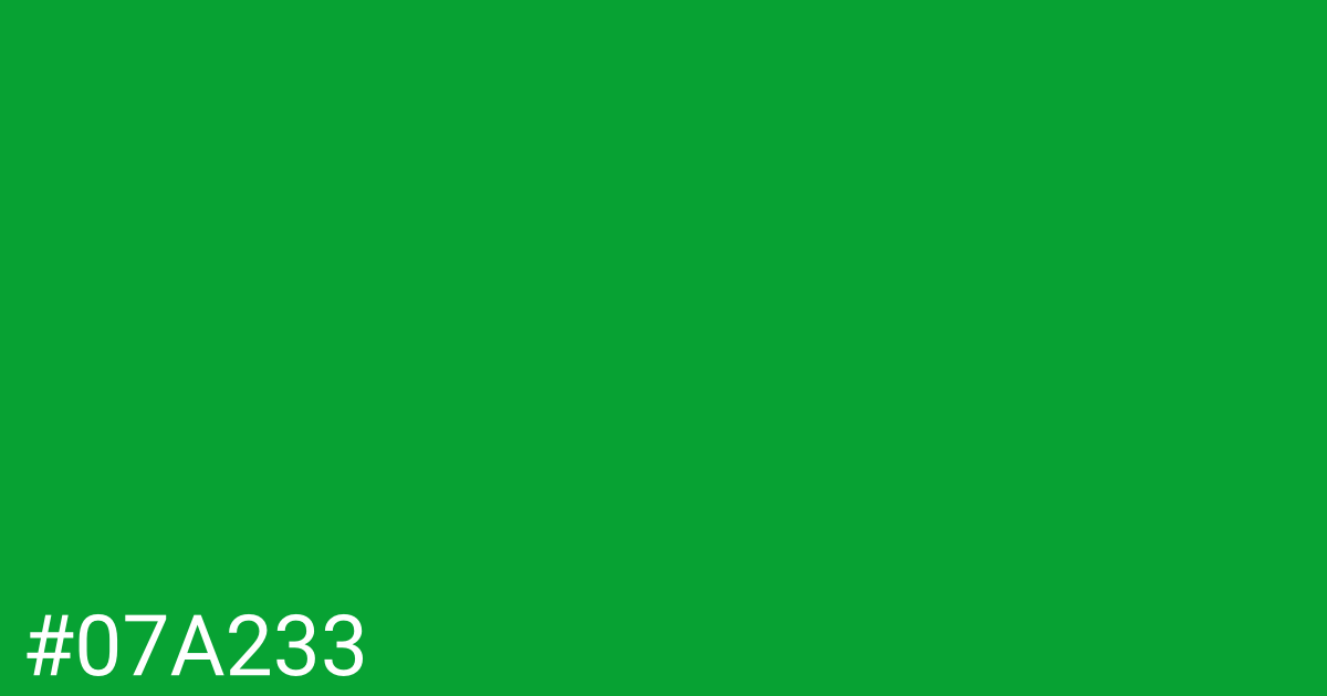 Hex color #07a233 graphic