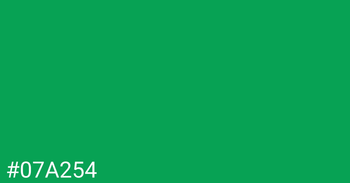 Hex color #07a254 graphic