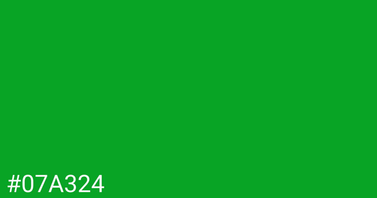 Hex color #07a324 graphic