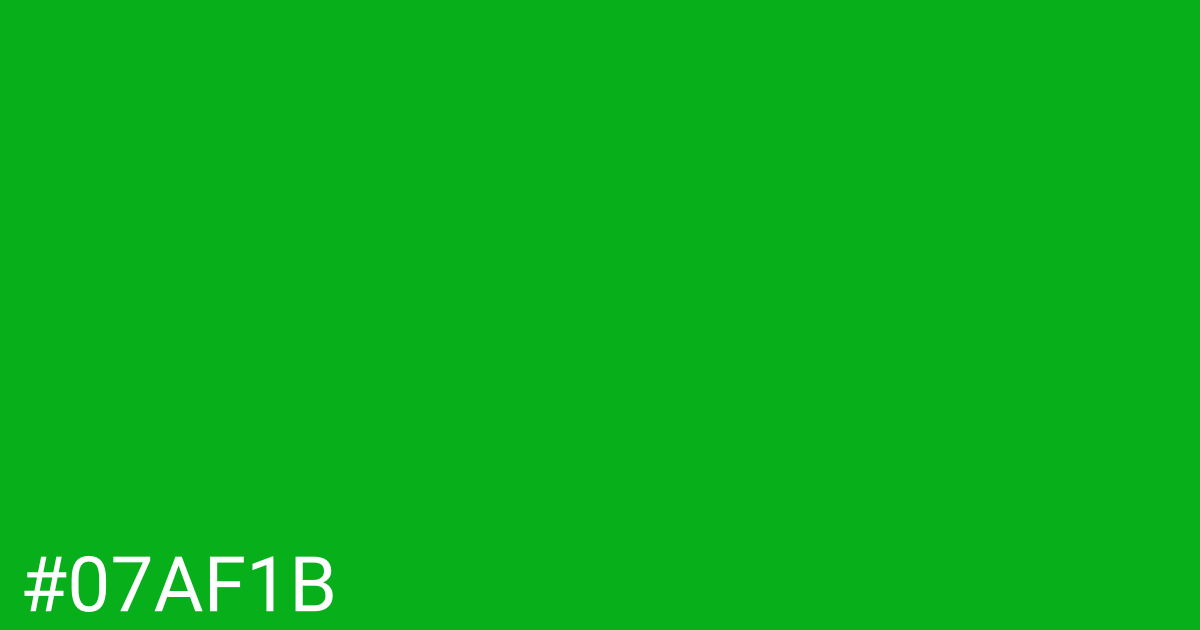 Hex color #07af1b graphic