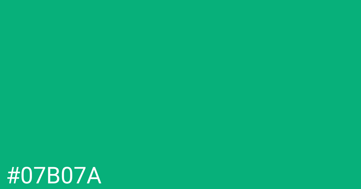 Hex color #07b07a graphic