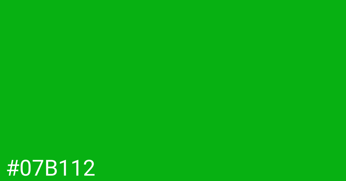 Hex color #07b112 graphic