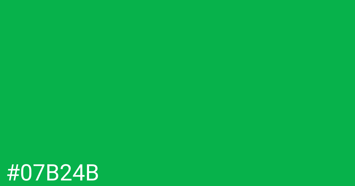 Hex color #07b24b graphic