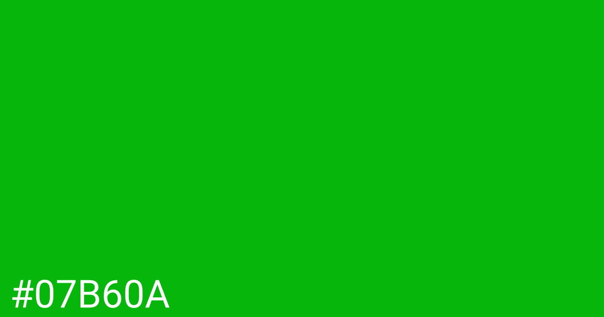 Hex color #07b60a graphic