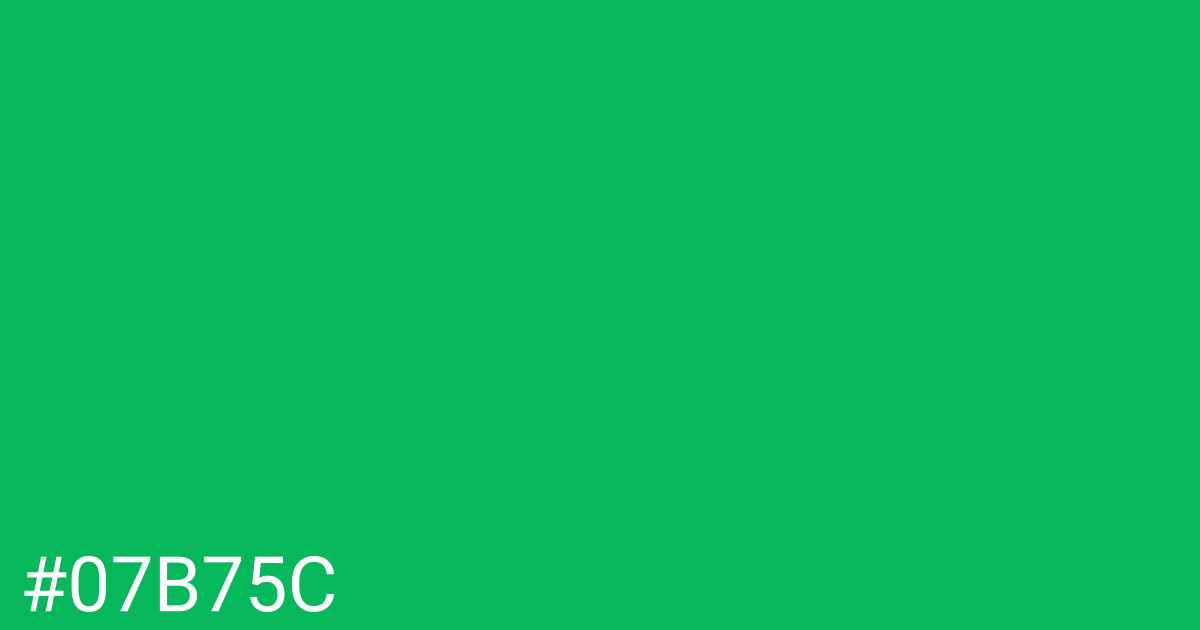 Hex color #07b75c graphic
