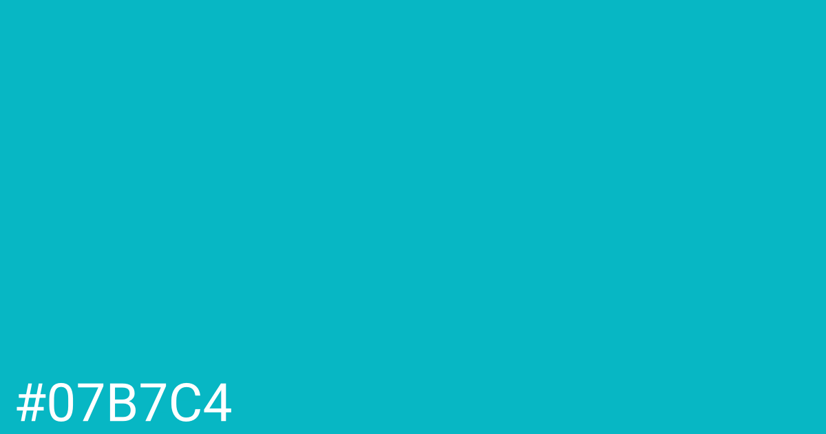 Hex color #07b7c4 graphic