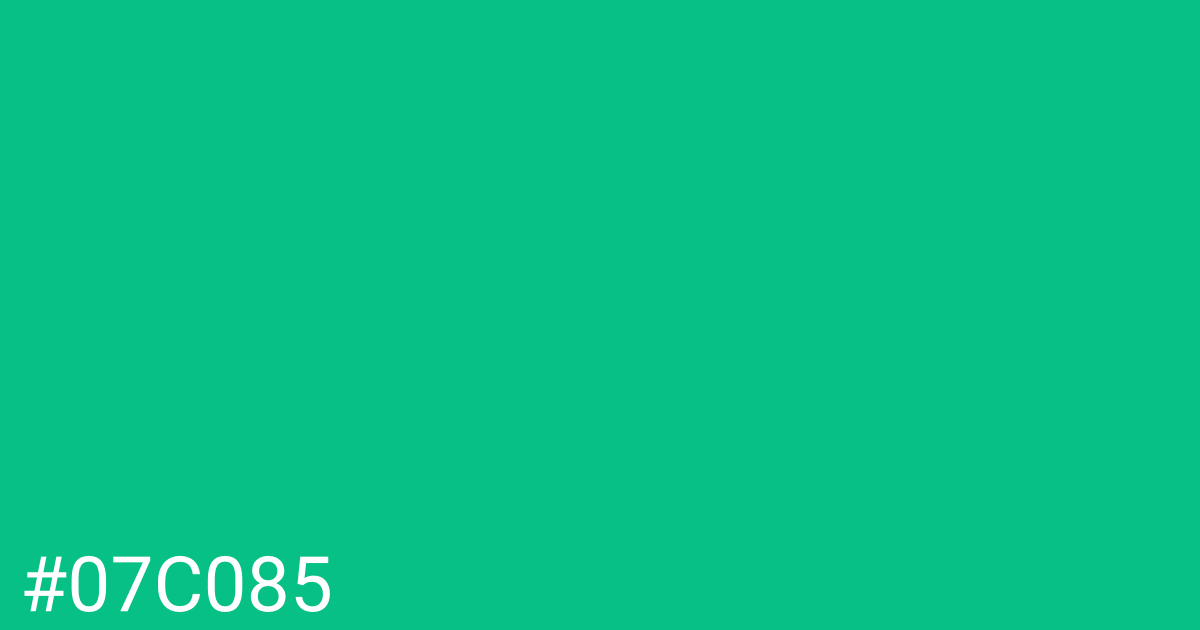 Hex color #07c085 graphic