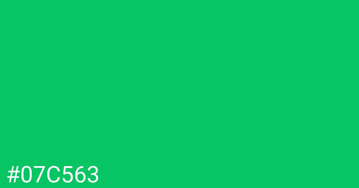 Hex color #07c563 graphic