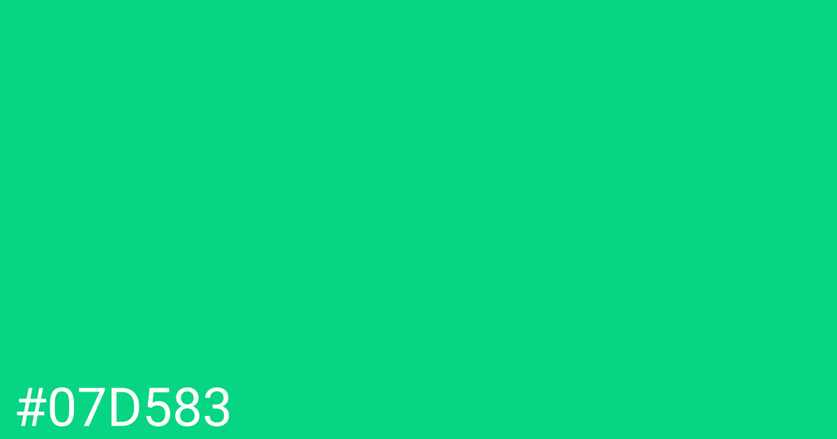 Hex color #07d583 graphic