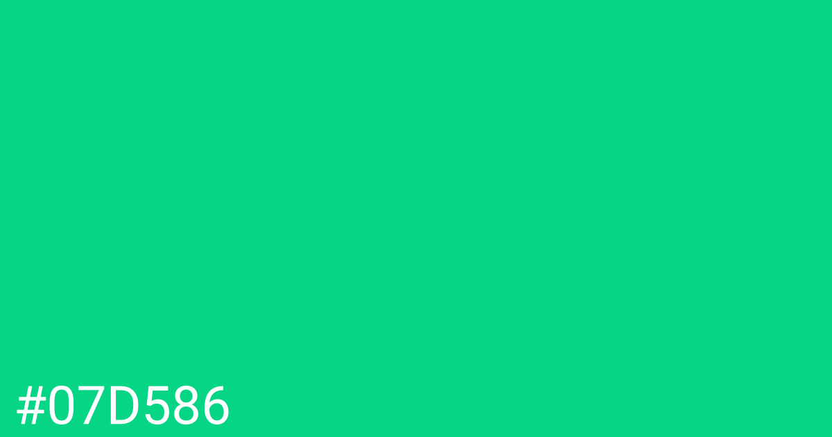 Hex color #07d586 graphic