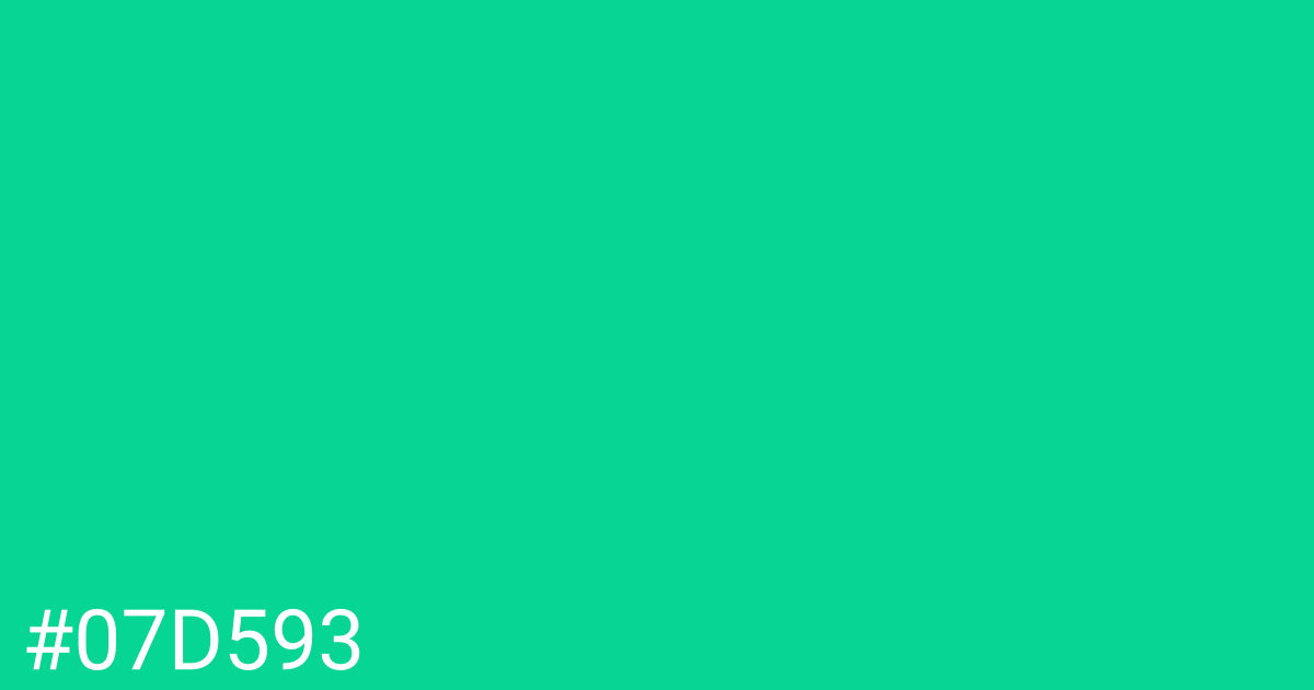 Hex color #07d593 graphic