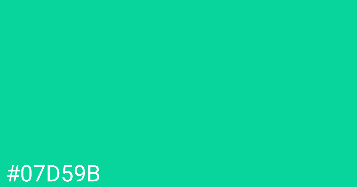 Hex color #07d59b graphic