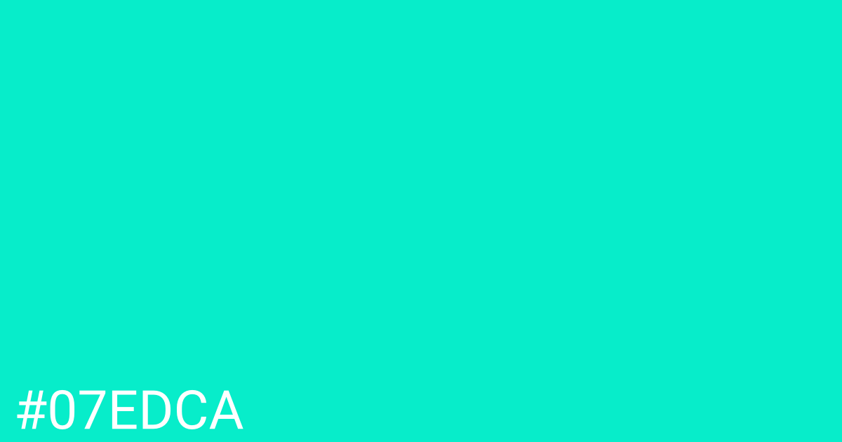 Hex color #07edca graphic