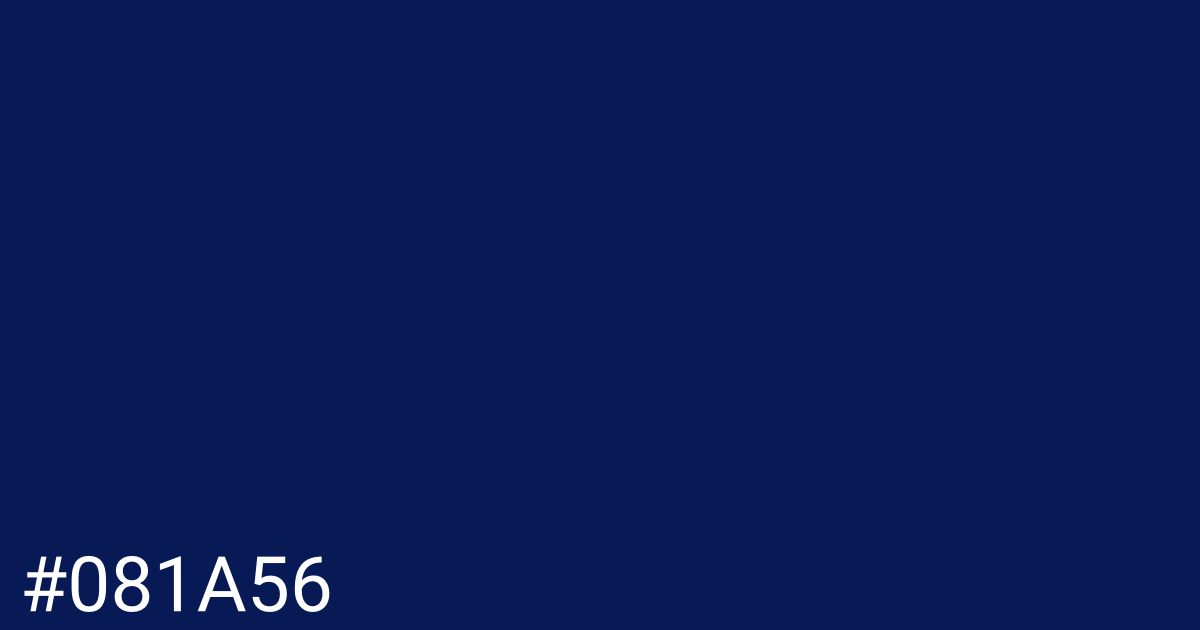 Hex color #081a56 graphic