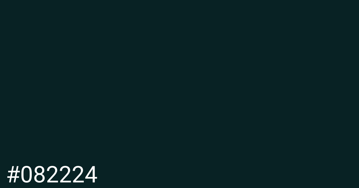Hex color #082224 graphic