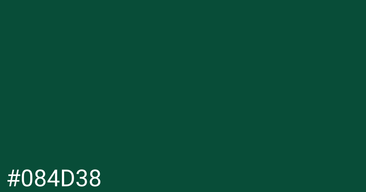 Hex color #084d38 graphic