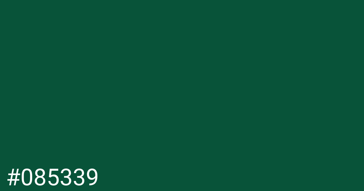 Hex color #085339 graphic