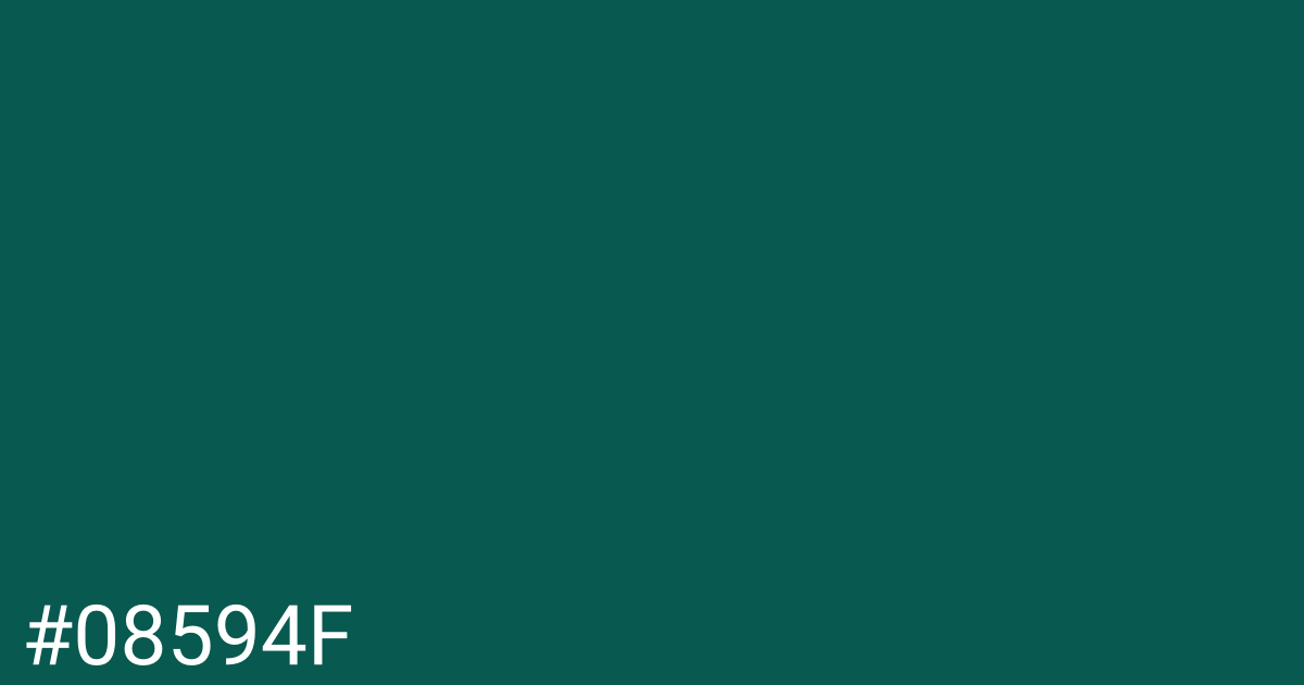 Hex color #08594f graphic