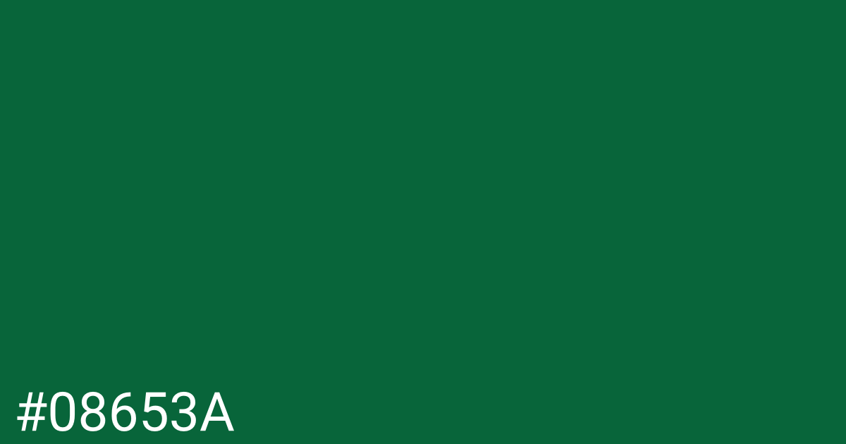 Hex color #08653a graphic