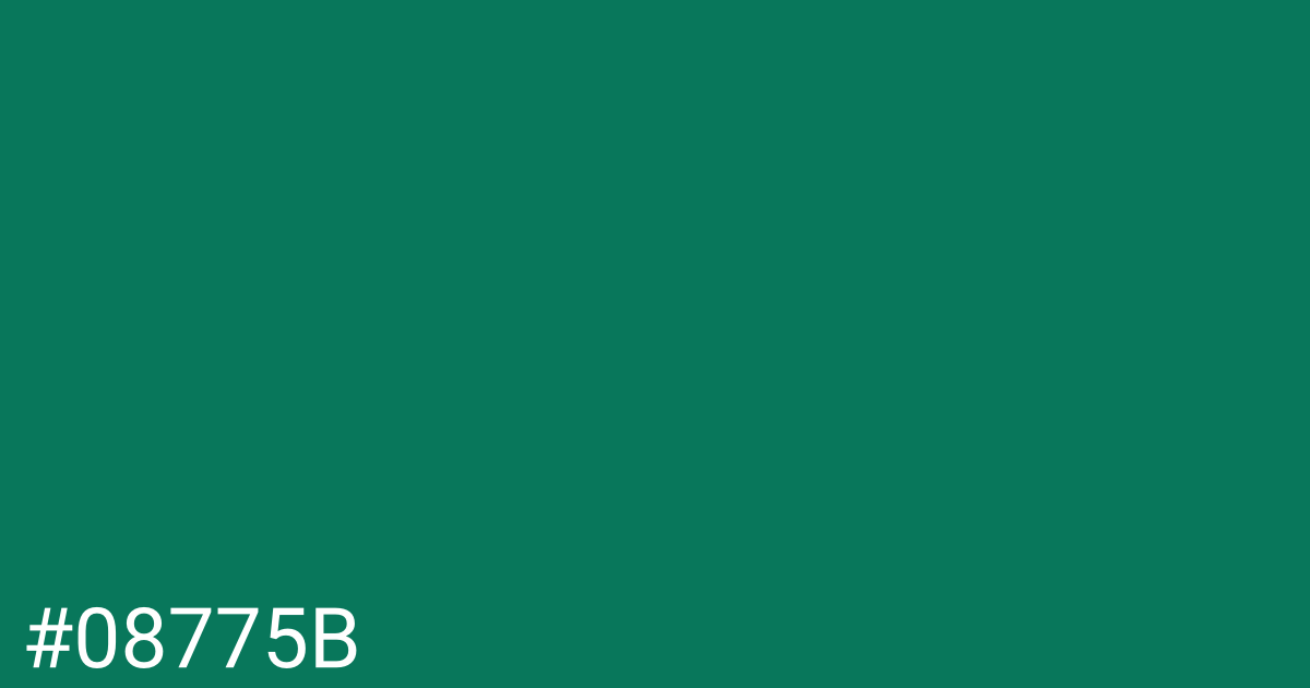 Hex color #08775b graphic