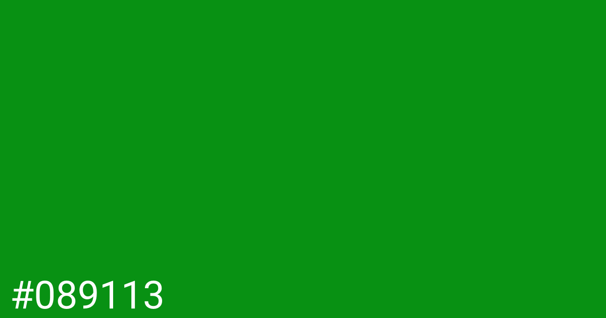 Hex color #089113 graphic