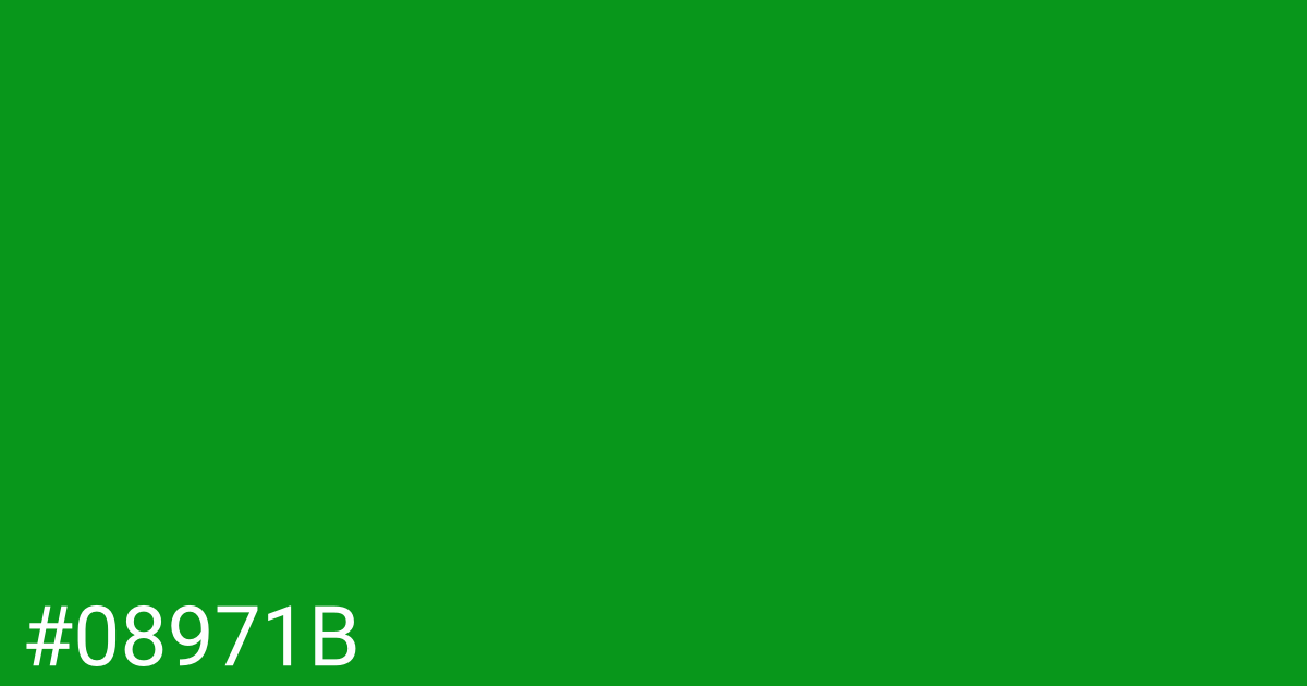 Hex color #08971b graphic