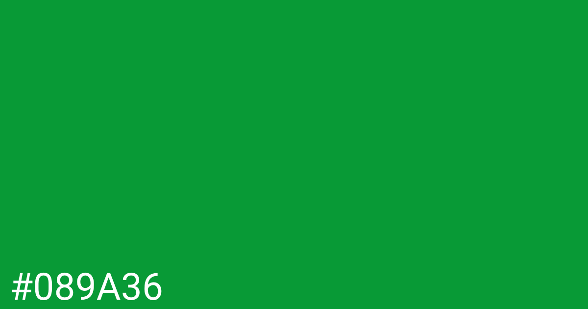 Hex color #089a36 graphic