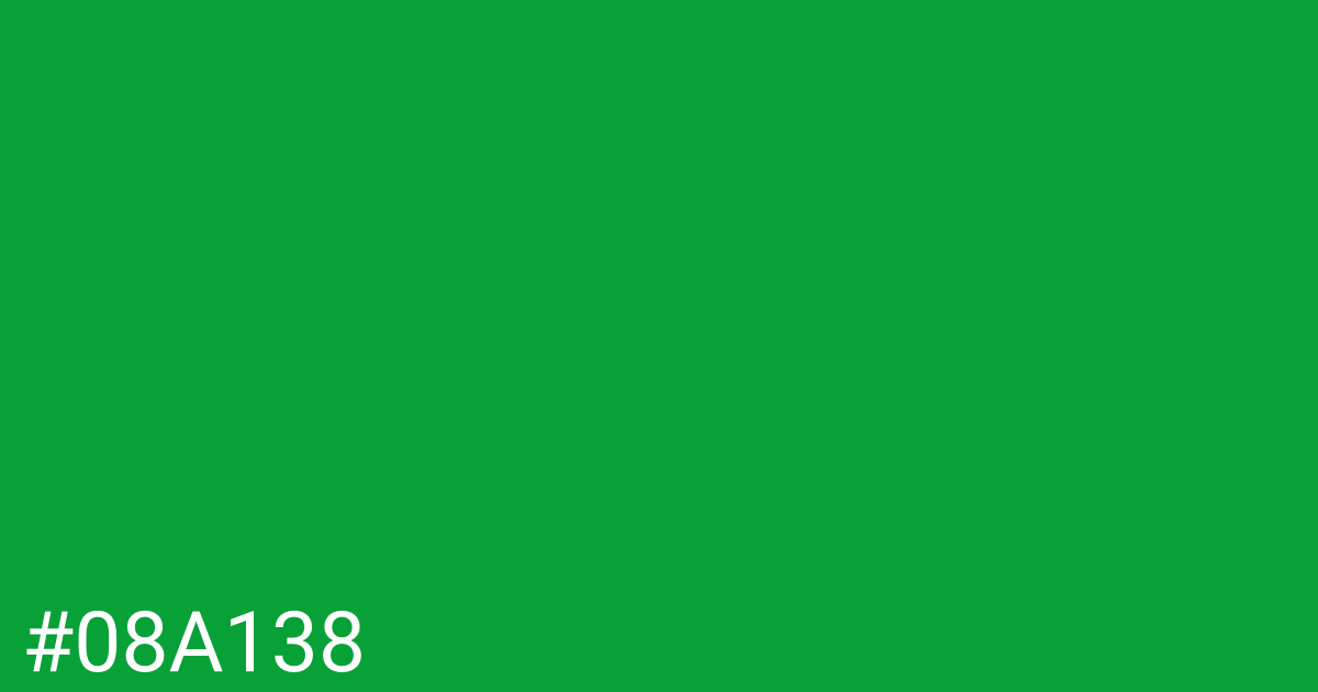 Hex color #08a138 graphic