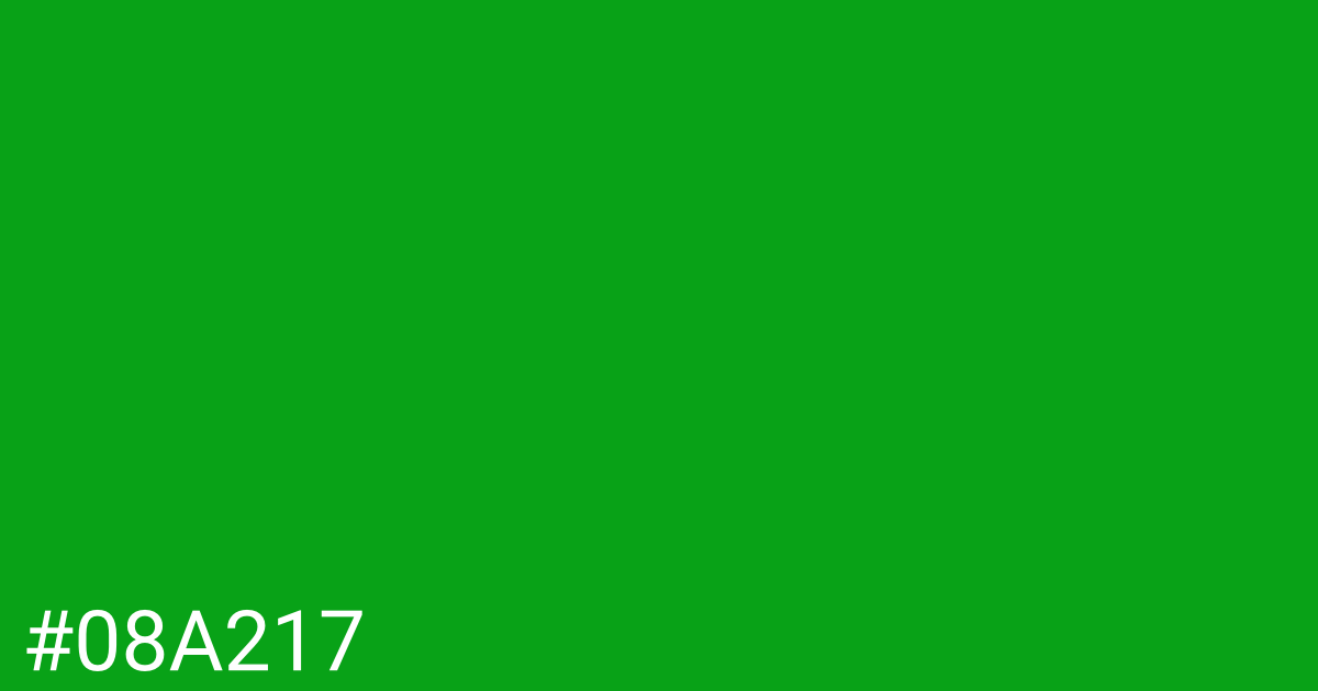 Hex color #08a217 graphic