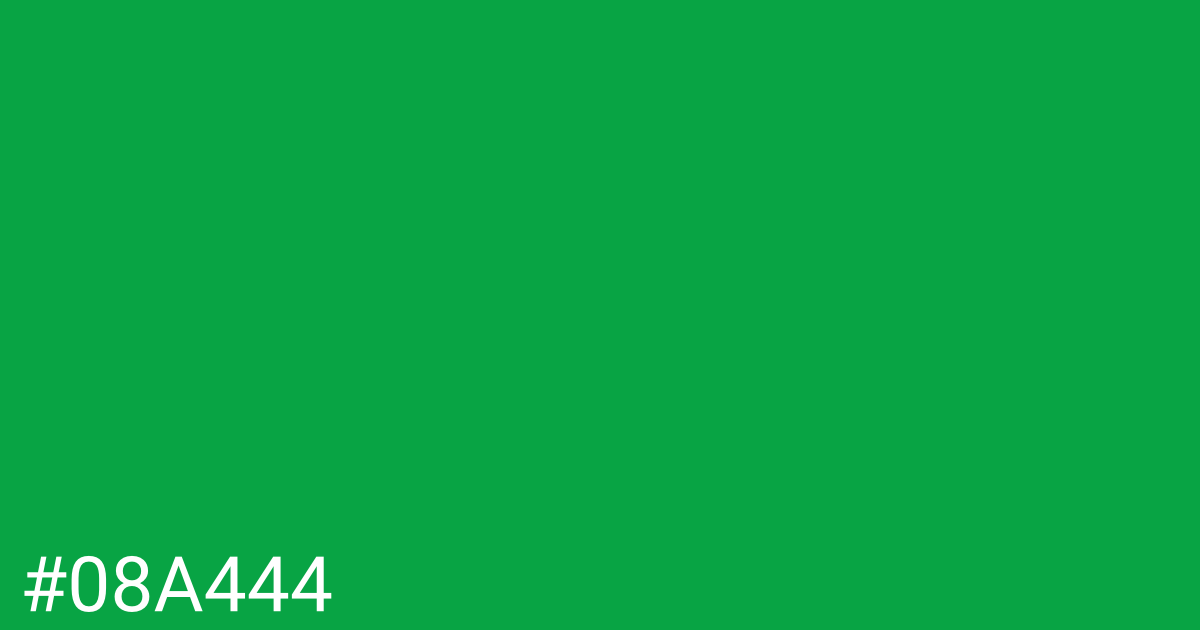 Hex color #08a444 graphic