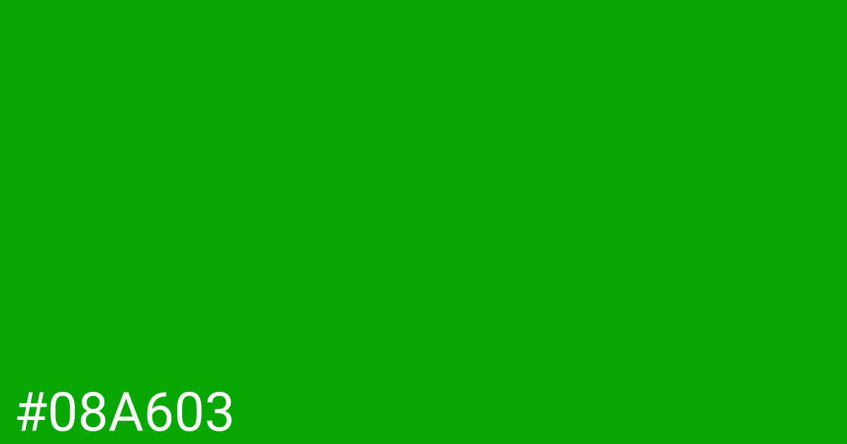 Hex color #08a603 graphic