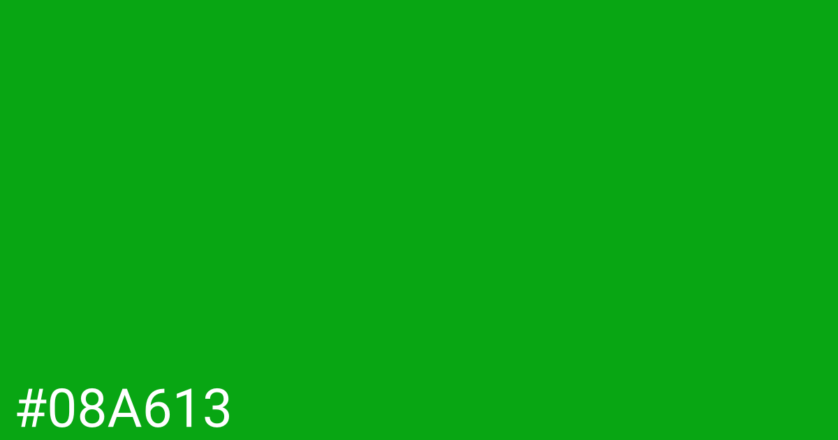 Hex color #08a613 graphic