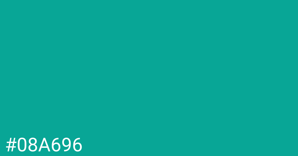 Hex color #08a696 graphic