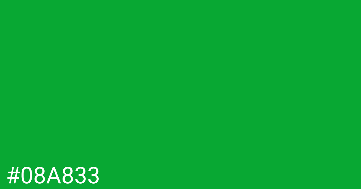 Hex color #08a833 graphic