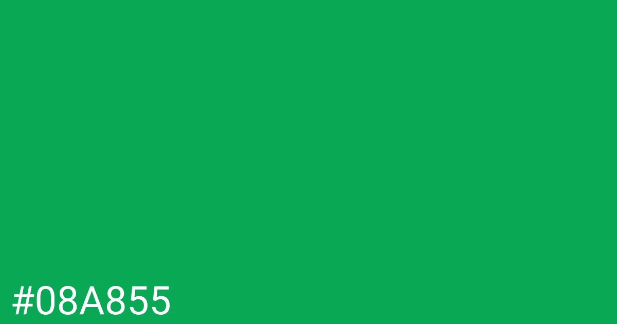 Hex color #08a855 graphic