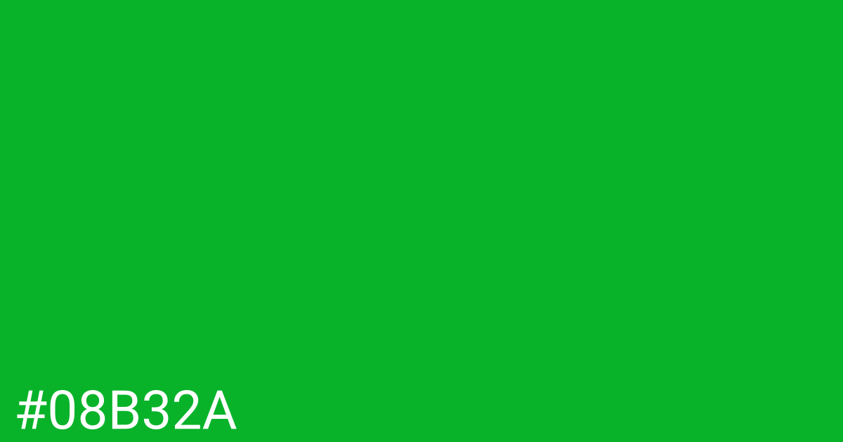 Hex color #08b32a graphic