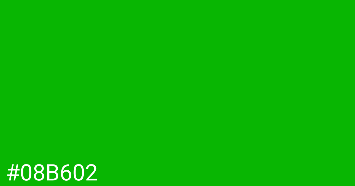 Hex color #08b602 graphic