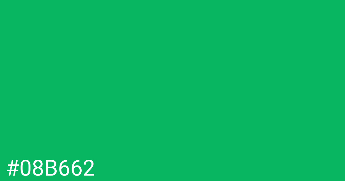 Hex color #08b662 graphic