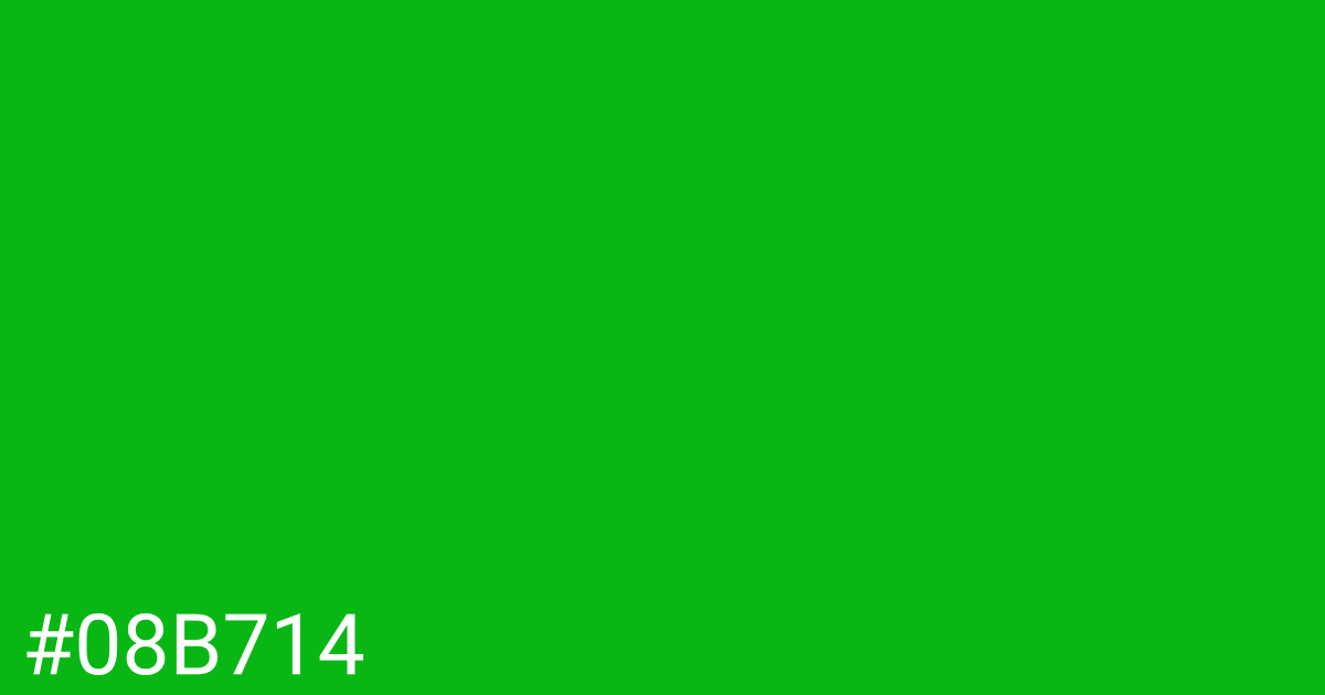 Hex color #08b714 graphic