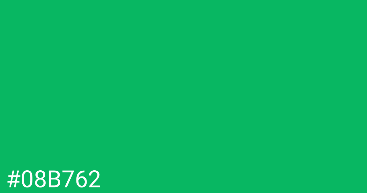 Hex color #08b762 graphic