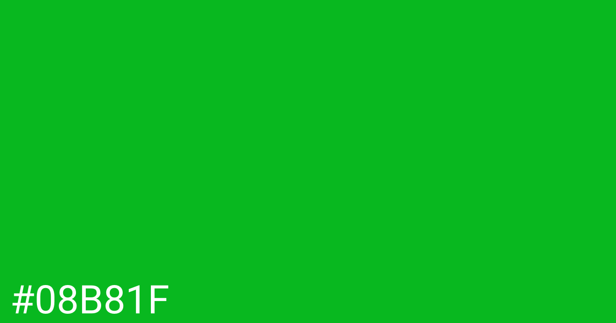 Hex color #08b81f graphic