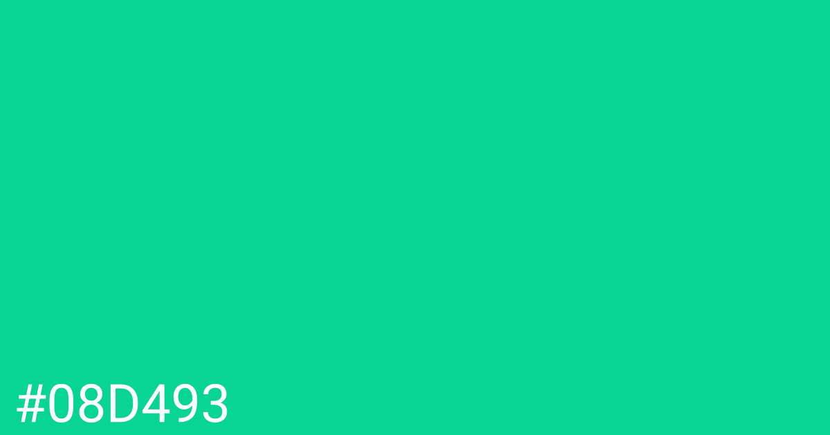 Hex color #08d493 graphic