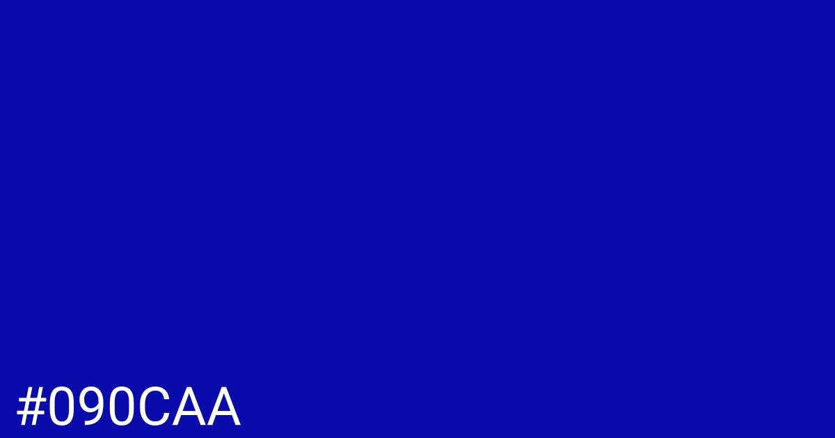 Hex color #090caa graphic